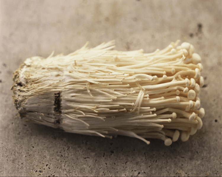 Nấm kim châm Nấm kim châm