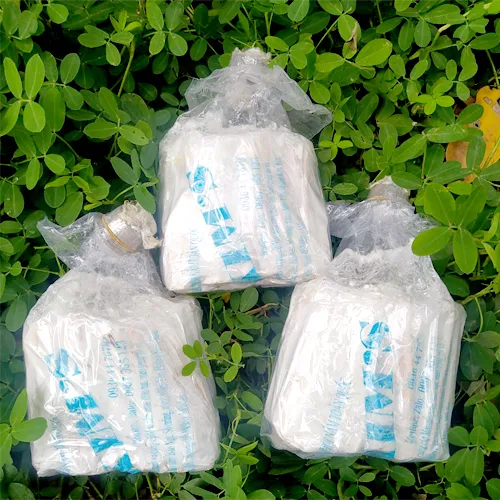 Phôi Nấm Mèo (Nấm mộc nhĩ) - Meo cọng mì