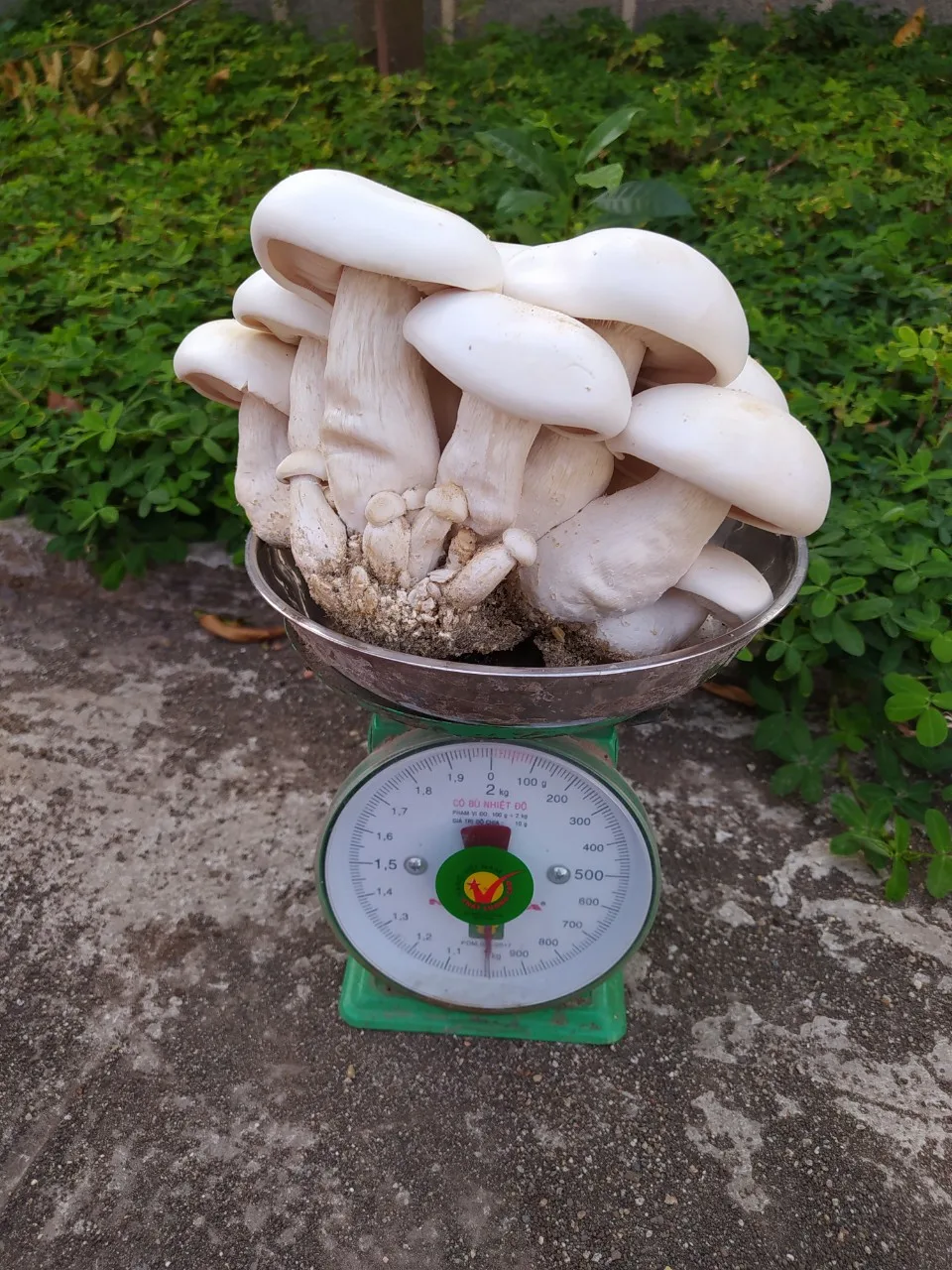 z2159892965776_bb69a949e391c5ef3edeb514226d226b