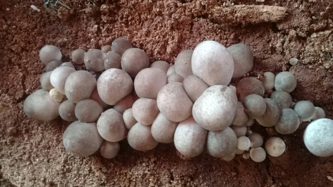 z2384351627312_08dbb5ef5499d056a555843c7813204c