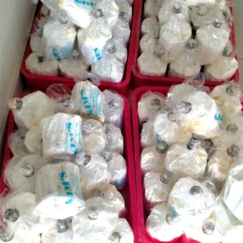 Nấm Hoàng Đế - Nấm Sữa - Nấm Milky: Meo cọng mì