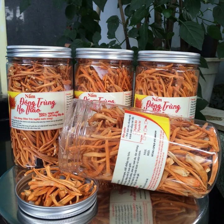 NẤM ĐÔNG TRÙNG HẠ THẢO HỦ 50G