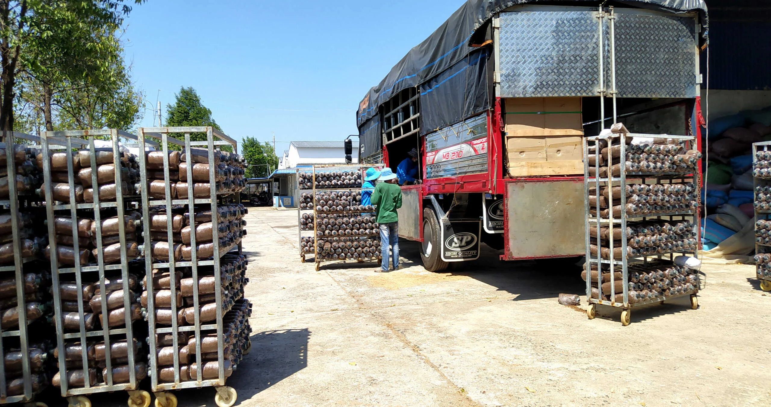 Cơ sở meo phôi nấm toàn quốc